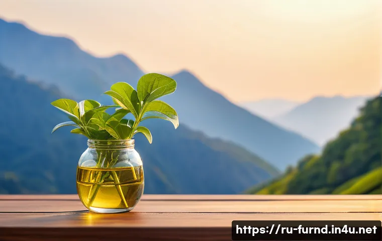 가구디자인 필수 자격증 리스트 관련 이미지 1